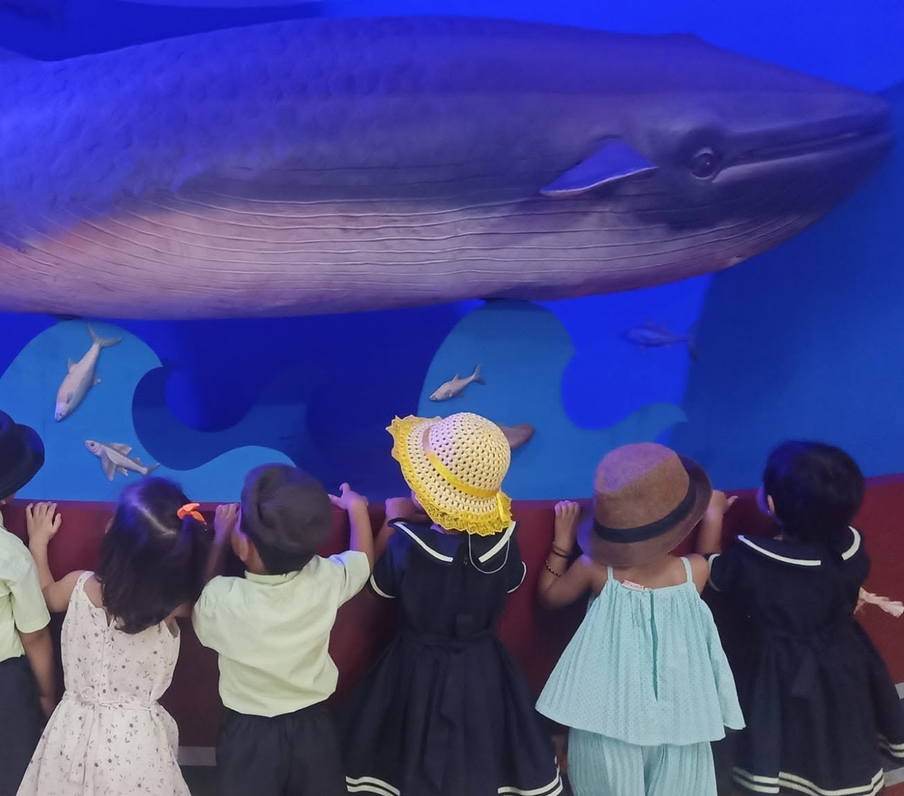 BIPS Gallery